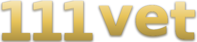 111 vet logo